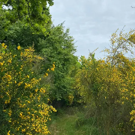 With Annexe Near Dom wakacyjny Ebeltoft